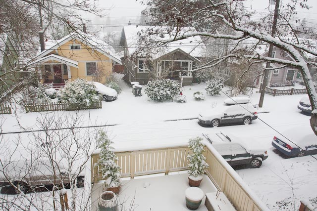 snow in seattle